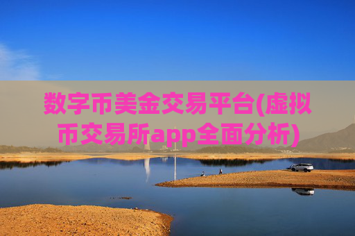 数字币美金交易平台(虚拟币交易所app全面分析)