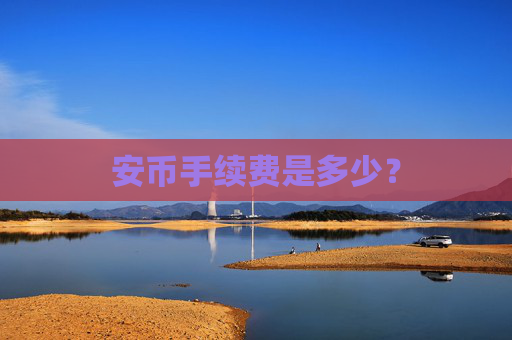 安币手续费是多少?
