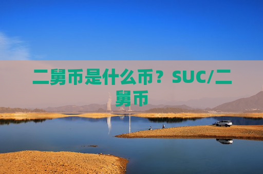 二舅币是什么币?SUC/二舅币