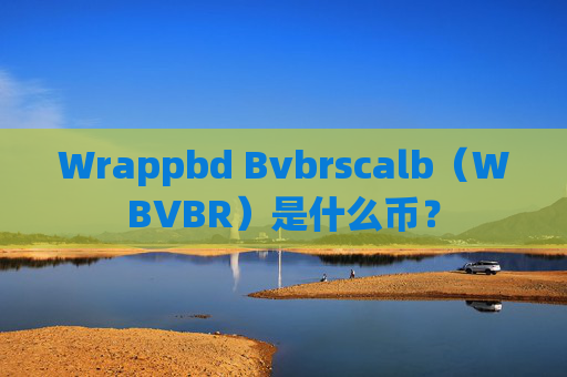 Wrappbd Bvbrscalb(WBVBR)是什么币?