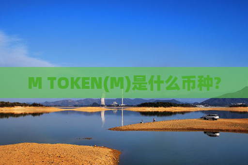 M TOKEN(M)是什么币种?