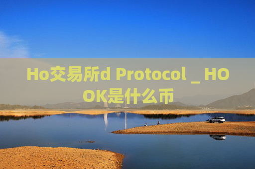Ho交易所d Protocol _ HOOK是什么币