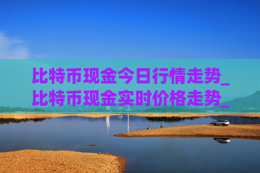 比特币现金今日行情走势_比特币现金实时价格走势_比特币现金最新价格