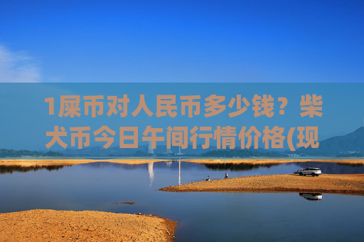 1屎币对人民币多少钱?柴犬币今日午间行情价格(现价0.00016296元)