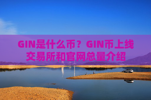 GIN是什么币?GIN币上线交易所和官网总量介绍