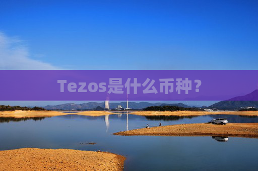 Tezos是什么币种？