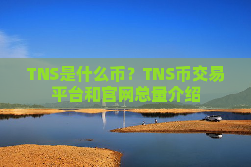 TNS是什么币？TNS币交易平台和官网总量介绍