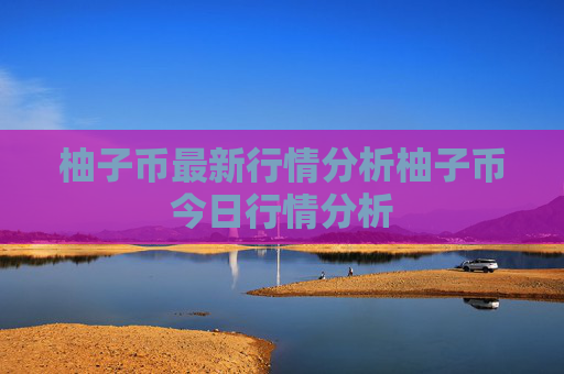 柚子币最新行情分析柚子币今日行情分析