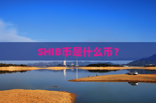 SHIB币是什么币?