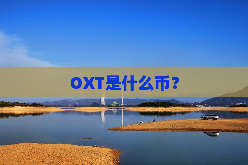 OXT是什么币?