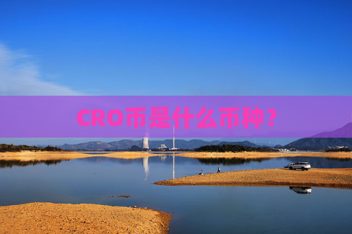 CRO币是什么币种?