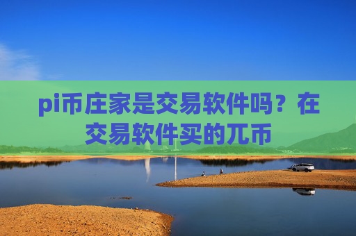 pi币庄家是交易软件吗？在交易软件买的兀币