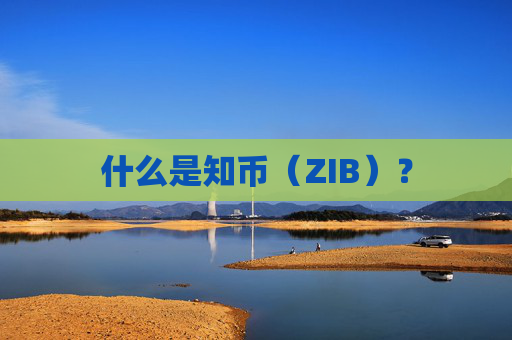 什么是知币(ZIB)?