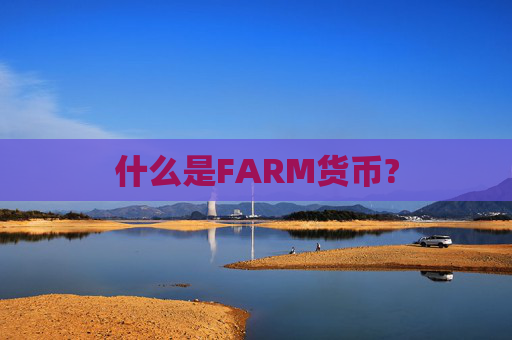 什么是FARM货币?