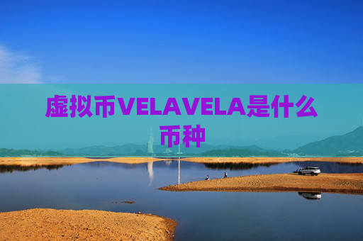 虚拟币VELAVELA是什么币种