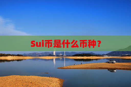 Sui币是什么币种?