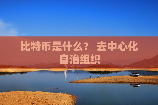 比特币是什么? 去中心化自治组织