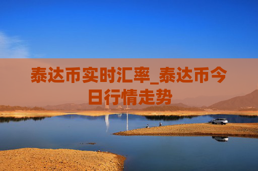 泰达币实时汇率_泰达币今日行情走势
