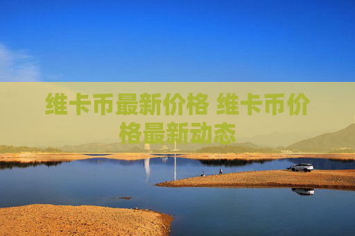 维卡币最新价格 维卡币价格最新动态