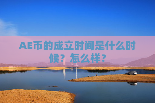AE币的成立时间是什么时候？怎么样？