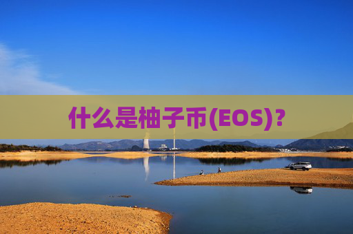 什么是柚子币(EOS)?