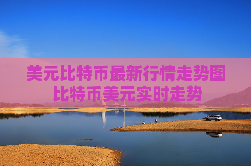 美元比特币最新行情走势图 比特币美元实时走势