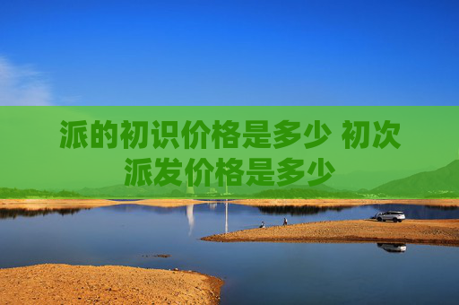 派的初识价格是多少 初次派发价格是多少