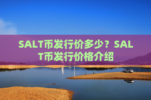 SALT币发行价多少?SALT币发行价格介绍