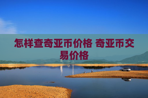怎样查奇亚币价格 奇亚币交易价格