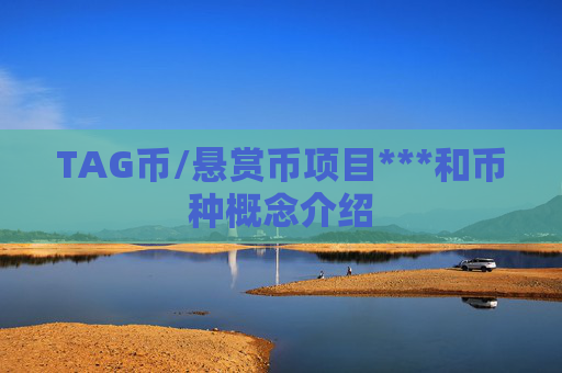 TAG币/悬赏币项目***和币种概念介绍