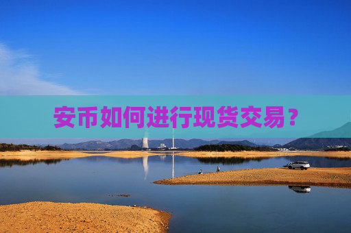 安币如何进行现货交易?