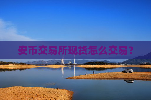 安币交易所现货怎么交易?