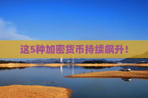 这5种加密货币持续飙升!