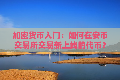 加密货币入门：如何在安币交易所交易新上线的代币？