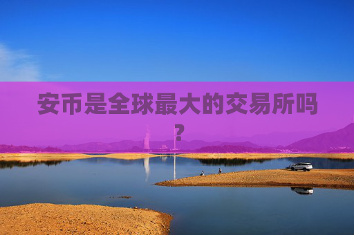 安币是全球最大的交易所吗?