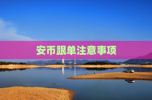 安币跟单注意事项