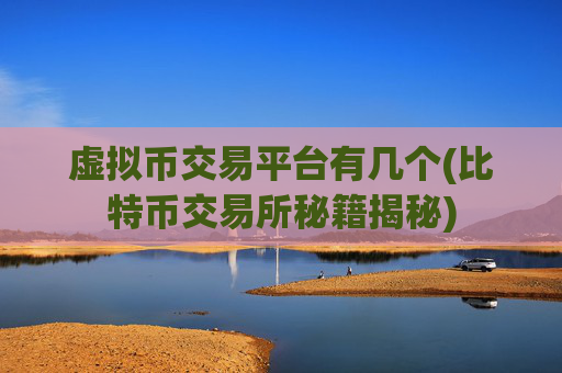 虚拟币交易平台有几个(比特币交易所秘籍揭秘)