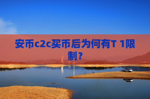 安币c2c买币后为何有T 1限制？