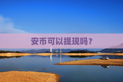 安币可以提现吗?