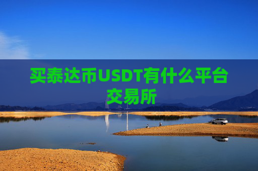 买泰达币USDT有什么平台 交易所