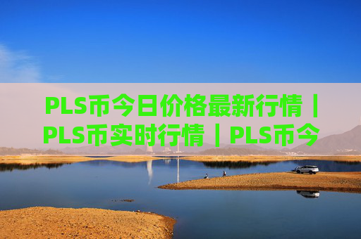 PLS币今日价格最新行情|PLS币实时行情|PLS币今日最新走势
