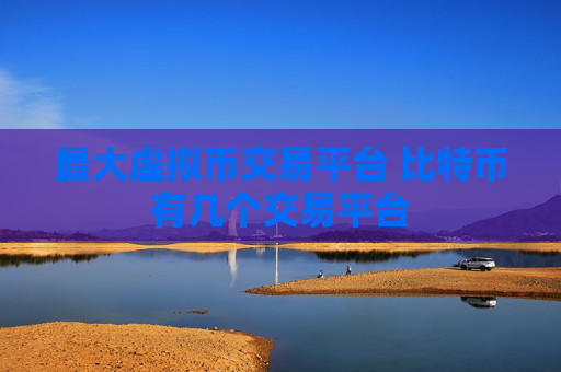 最大虚拟币交易平台 比特币有几个交易平台