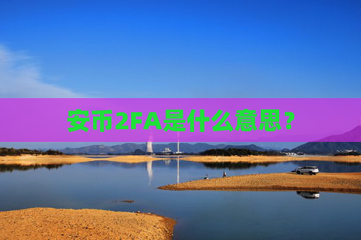 安币2FA是什么意思?