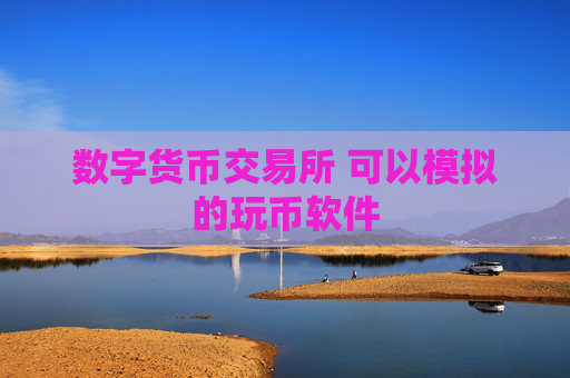 数字货币交易所 可以模拟的玩币软件