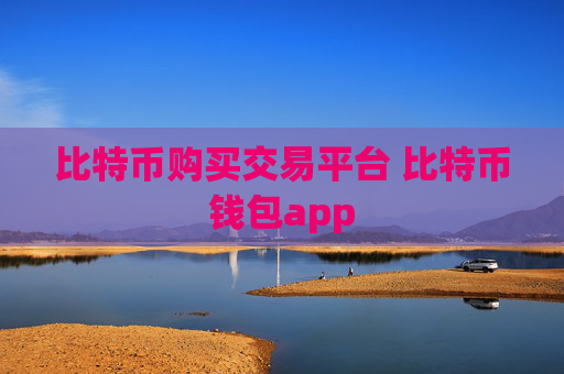 比特币购买交易平台 比特币钱包app