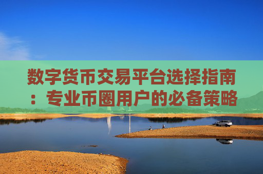 数字货币交易平台选择指南:专业币圈用户的必备策略