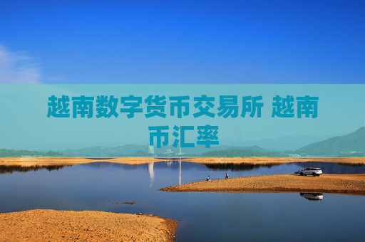 越南数字货币交易所 越南币汇率