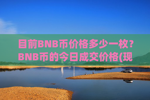 目前BNB币价格多少一枚?BNB币的今日成交价格(现价4878.22元)