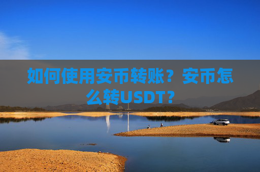 如何使用安币转账?安币怎么转USDT?