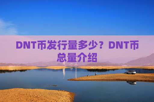DNT币发行量多少？DNT币总量介绍